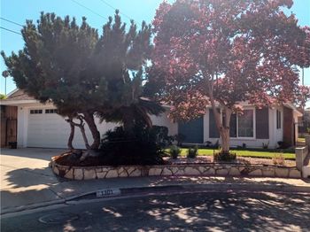 1301 Pine Tree Lane