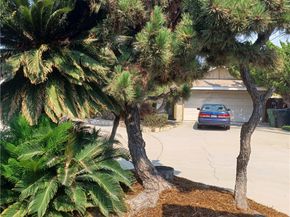 1301 Pine Tree Lane, Rosemead CA 91770