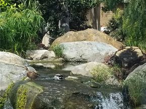 77 Lakepines, Irvine CA 92620