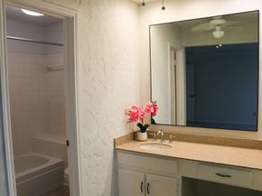 9922 Hibernia Drive, Houston TX 77088