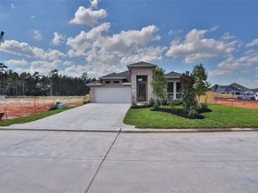225 Silver Sage Street, Conroe TX 77304