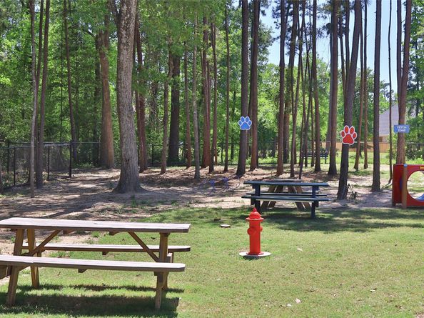 225 Silver Sage Street, Conroe TX 77304