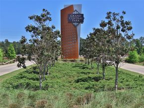 225 Silver Sage Street, Conroe TX 77304