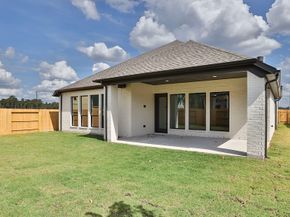 18718 Wild Stripes Court, Conroe TX 77302