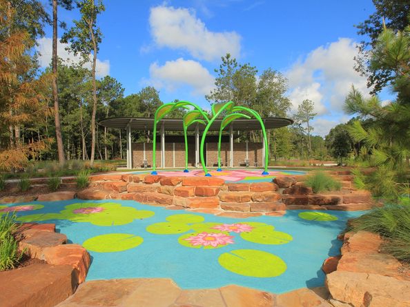 18718 Wild Stripes Court, Conroe TX 77302