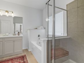 166 Black Swan Place, The Woodlands TX 77354