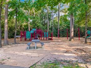 166 Black Swan Place, The Woodlands TX 77354