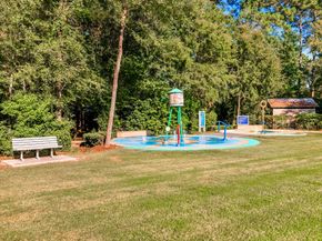 166 Black Swan Place, The Woodlands TX 77354