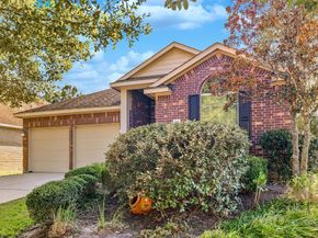 166 Black Swan Place, The Woodlands TX 77354