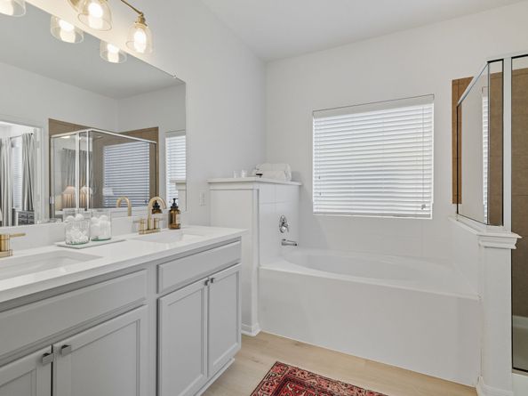 166 Black Swan Place, The Woodlands TX 77354