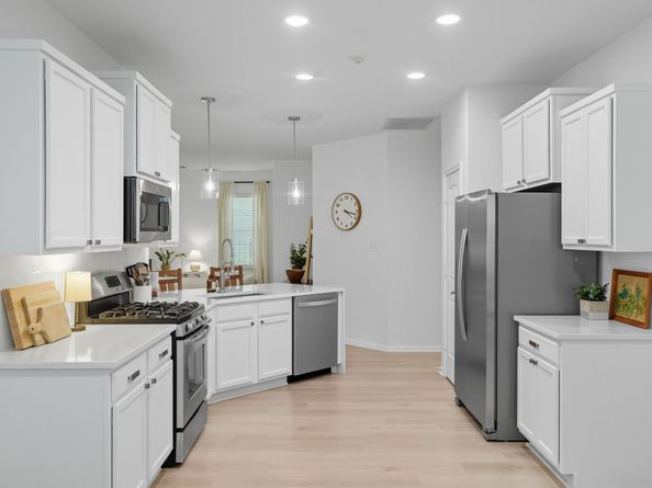 166 Black Swan Place, The Woodlands TX 77354