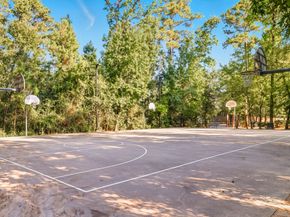 166 Black Swan Place, The Woodlands TX 77354