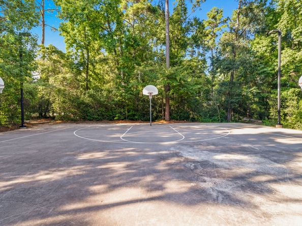 166 Black Swan Place, The Woodlands TX 77354