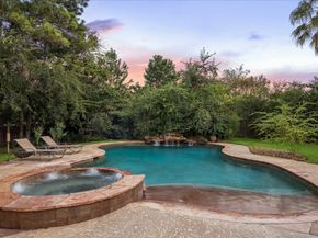 19807 Wild Poppy Drive, Spring TX 77379