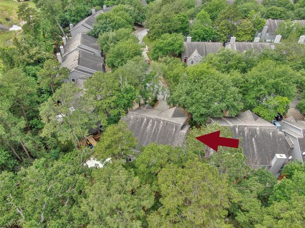 147 Anise Tree Place, The Woodlands TX 77382