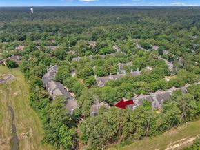 147 Anise Tree Place, The Woodlands TX 77382