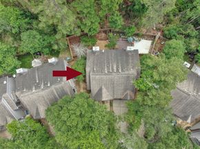 147 Anise Tree Place, The Woodlands TX 77382