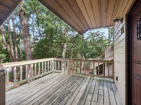 86 Cokeberry Street, The Woodlands TX 77380