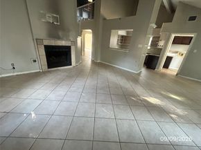 8203 Green Devon Drive, Houston TX 77095