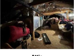 12551 Hammill Path Drive, Houston TX 77066