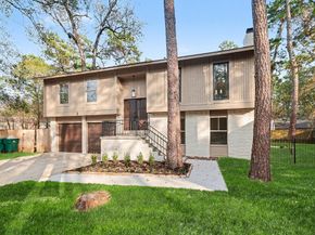 2 Kittiwake Court, The Woodlands TX 77380