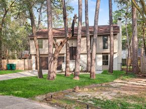 2 Kittiwake Court, The Woodlands TX 77380