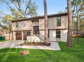 2 Kittiwake Court, The Woodlands TX 77380