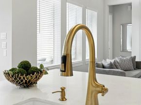 26923 Arethusa Court, Spring TX 77389