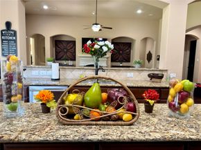 16243 Cascade Caverns Lane, Houston TX 77044