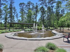 207 Silver Sage Court, Conroe TX 77304