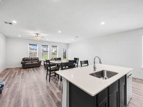 12305 Brandenburg Gate Drive, Houston TX 77047