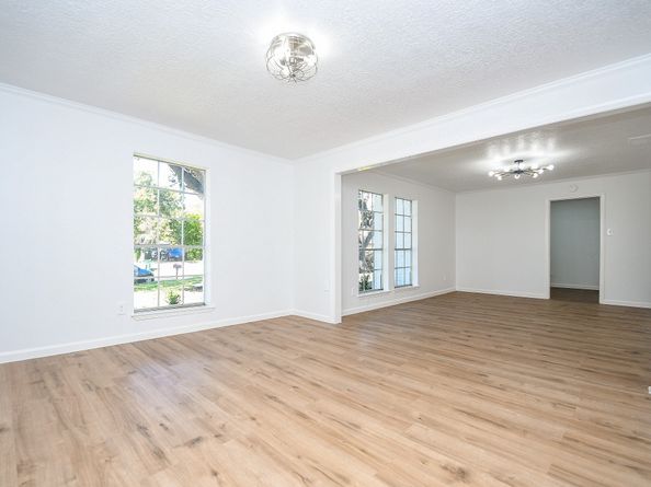 7703 Braesridge Court, Houston TX 77071