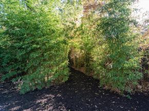 2703 E 3rd ST 2, Austin TX 78702