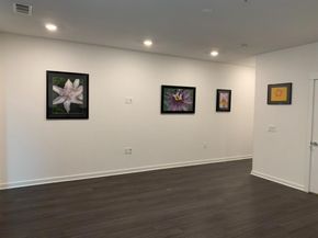 4361 S Congress Ave 304, Austin TX 78745