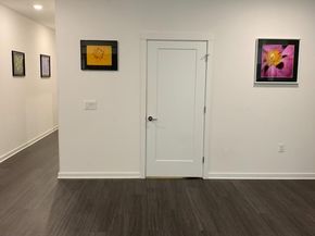 4361 S Congress Ave 304, Austin TX 78745