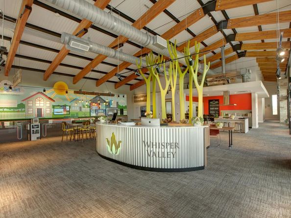 9517 Balmy LN, Manor TX 78653