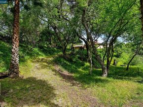 490 St Marys Rd, Lafayette CA 94549