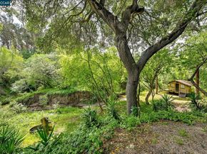490 St Marys Rd, Lafayette CA 94549