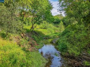 490 St Marys Rd, Lafayette CA 94549