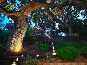 1239 Sunrise Ridge Dr, Lafayette CA 94549