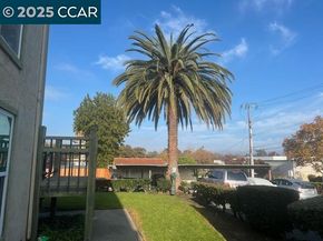 1851 Harrison St 15, Concord CA 94520