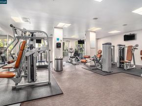 1655 N California Blvd. 242, Walnut Creek CA 94596