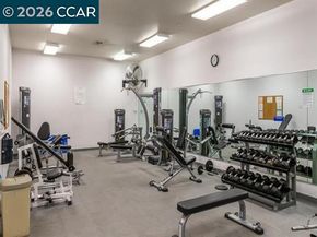 450 N Civic Dr 503, Walnut Creek CA 94596
