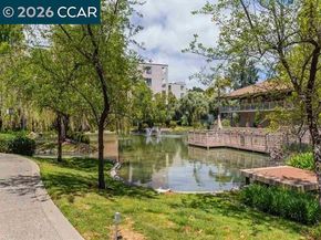 450 N Civic Dr 503, Walnut Creek CA 94596