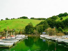 4515 Ewing Rd, Castro Valley CA 94546