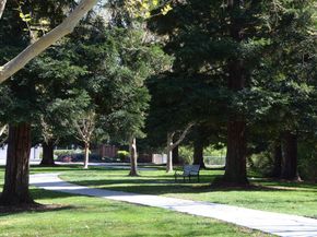 1626 Harlan Dr, Danville CA 94526