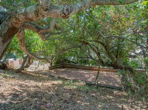1514 La Loma Ave, Berkeley CA 94708