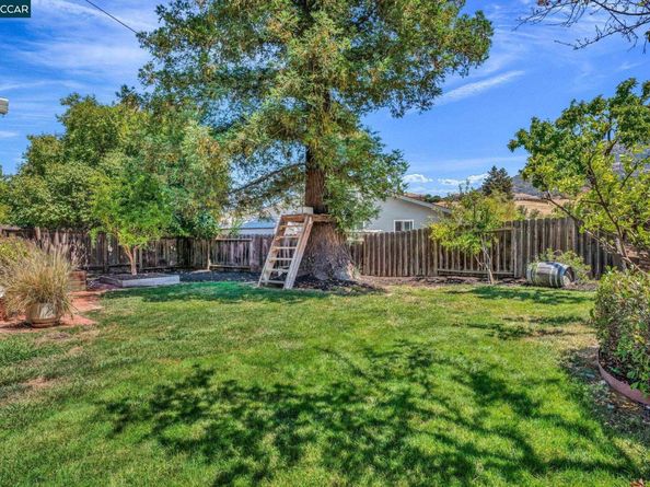 33 El Molino Dr, Clayton CA 94517