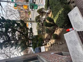 8423 14th Avenue, Brooklyn NY 11228