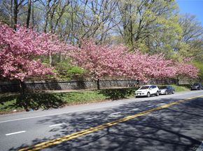 123-40 83rd Avenue 1A, Kew Gardens NY 11415